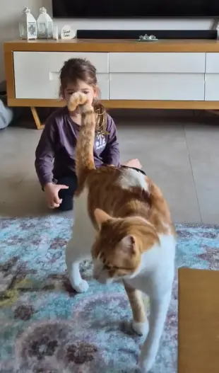 AI Video: החתול לובש שמלה ירוקה עם לב צהוב ופרח ורוד, יש לו כתר בצבע תכלת על הראש...