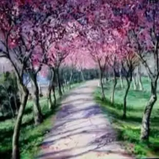 AI Video: A serene, cinematic tracking shot through a tunnel of blooming Japanese...