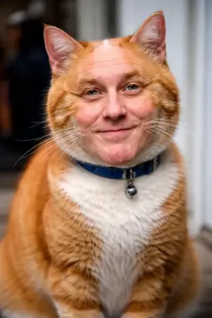 AI Video: Get the cat to lick his bum and say to people I am well fed on the tax payer....