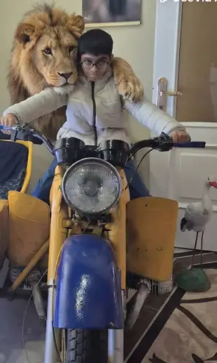 AI Video: A photorealistic, cinematic depiction of a young boy mid-metamorphosis,...