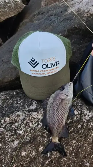 AI Video: Il pesce comincia a ballare in modo molto grazioso