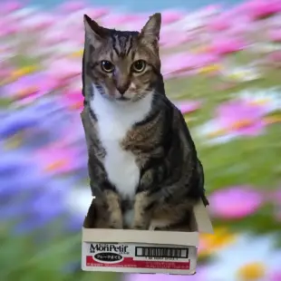 AI Video: Hold up the left hand.