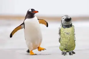 AI Video: Let both penguins dance