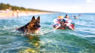 AI Video: Please keep head and face features of the dog and the girl! Please make a...