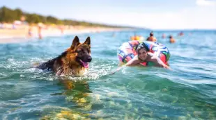 AI Video: Please keep head and face features of the dog and the girl! Please make a...