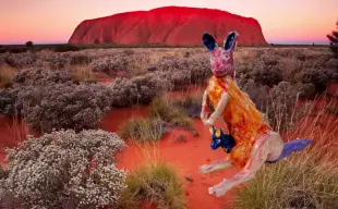 AI Video: Let the kangaroo jump through the desert