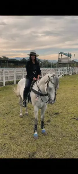 AI Video: Keep the original image exactly the same. Do not change the woman, horse,...