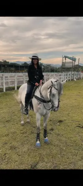 AI Video: Keep the original image exactly the same. Do not change the woman, horse,...