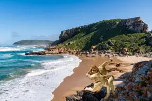 AI Video: Zoom in on man and wife kissing on the beach.