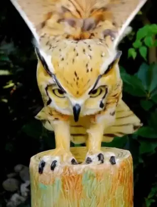 AI Video: Let this owl fly down and catch a mouse