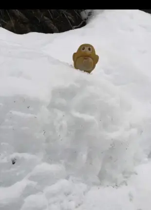 AI Video: The penguin made a long  deadly leap landing in perfect style