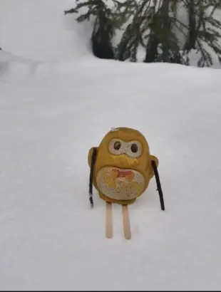 AI Video: The penguin ski down slalom style