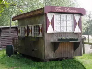 AI Video: Put a pony before this car and let it ride like horse and carriage